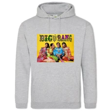 Hoodie with Print The Big Bang Theory Cute Bright Print - 2XL grey