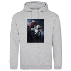 Hoodie with Print Titans Heroes - 2XL grey