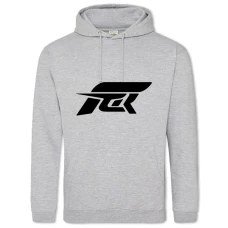 Hoodie with Print Forza Horizon Sign - 2XL grey