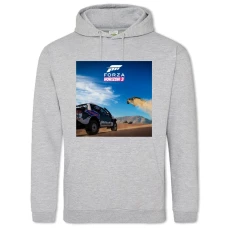 Hoodie with Print Forza Horizon Cars - 2XL grey