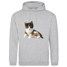 Hoodie with Print Kitten Three Colors - 2XL grey