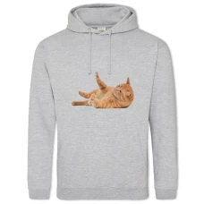 Hoodie with Print Red Cat - 2XL grey