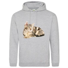 Hoodie with Print Cute Kitten - 2XL grey