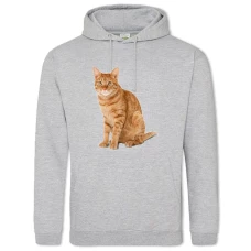 Hoodie with Print Red Cat Sits - 2XL grey