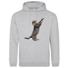 Hoodie with Print Funny Grey Kitten - 2XL grey