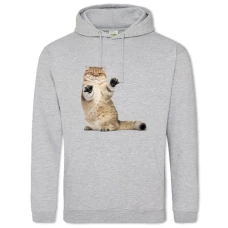 Hoodie with Print Funny Cat Attacks - 2XL grey