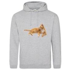 Hoodie with Print Red Cat Lies - 2XL grey