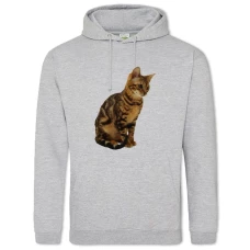 Hoodie with Print Cat Sits - 2XL grey