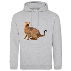 Hoodie with Print Abissianian Cat - 2XL grey