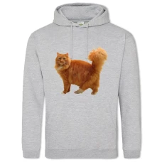 Hoodie with Print Red Cat 2 - 2XL grey