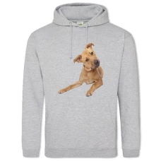 Hoodie with Print Begging Dog - 2XL grey