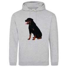 Hoodie with Print Rottweiler Sits - 2XL grey