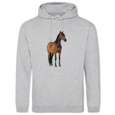 Hoodie with Print Funny Horse - 2XL grey