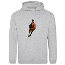 Hoodie with Print Red Horse Runs - 2XL grey