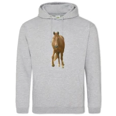 Hoodie with Print Red Horde With White Socks - 2XL grey