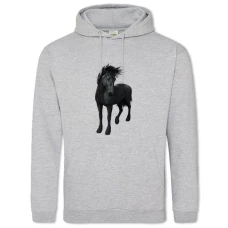 Hoodie with Print Beautiful Black Horse - 2XL grey