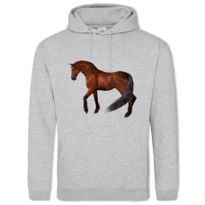 Hoodie with Print Strong Brown Horse - 2XL grey