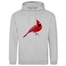 Hoodie with Print Red Bird - 2XL grey