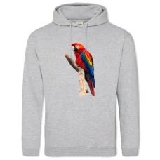 Hoodie with Print Red Parrot - 2XL grey