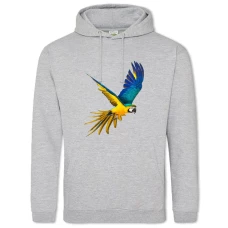 Hoodie with Print Blue And Yellow Parrot Flies - 2XL grey