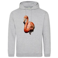 Hoodie with Print Cute Flamingo - 2XL grey