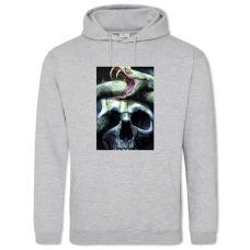 Hoodie with Print Neverwinter Nights Snake Print - 2XL grey