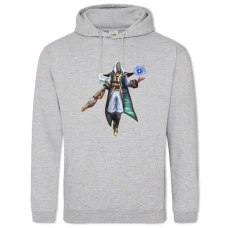 Hoodie with Print Paladins Dzhenos - 2XL grey