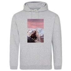 Hoodie with Print Sekiro Shadow Die Twice Cute Print - 2XL grey