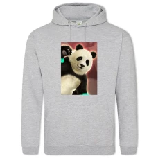 Hoodie with Print Tekken Panda Hero - 2XL grey