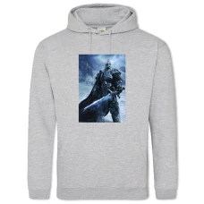 Hoodie with Print World Of Warcraft Lich King - 2XL grey