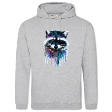 Hoodie with Print Colored Raccoon - 2XL grey