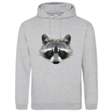 Hoodie with Print Painted Head Of Raccoon - 2XL grey