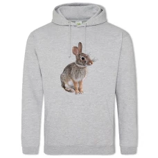 Hoodie with Print Wild Rabbit Sits - 2XL grey
