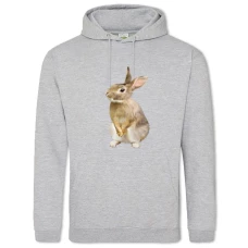 Hoodie with Print Cute Rabbit - 2XL grey