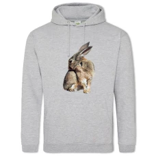 Hoodie with Print Wild Rabbit Scratches - 2XL grey