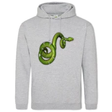 Hoodie with Print Green Snake - 2XL grey