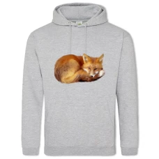 Hoodie with Print Fox Lies - 2XL grey