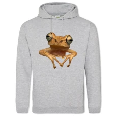 Hoodie with Print Yellow Frog - 2XL grey