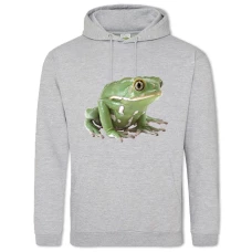 Hoodie with Print Funny Frog From Cartoon Print - 2XL grey