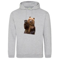 Hoodie with Print Bear Says 
