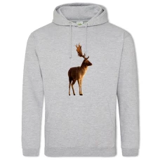 Hoodie with Print Dear With Big Horns - 2XL grey