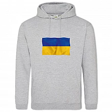 Худи с принтом Государственный Флаг Украины - 2XL серый