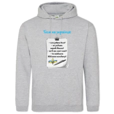 Hoodie with Print Test for a Ukrainian - 2XL grey