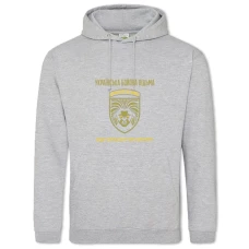Hoodie with Print Ukrainian fighting witch - 2XL grey