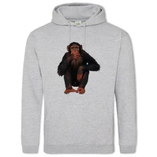 Hoodie with Print Monkey Is Afraid - 2XL grey