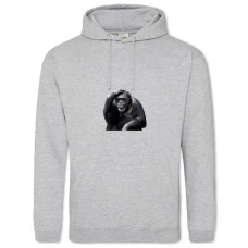 Hoodie with Print Philosophic Monkey - 2XL grey