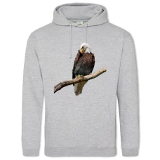 Hoodie with Print Eagle Sits On Stick - 2XL grey