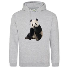 Hoodie with Print Panda Sits - 2XL grey