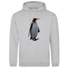Hoodie with Print Penguin - 2XL grey