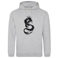 Hoodie with Print Dinosaur - 2XL grey